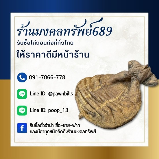 รับซื้อกระเพาะปลาเก่า