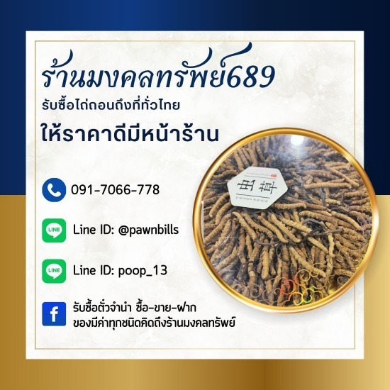 รับซื้อถั่งเช่า